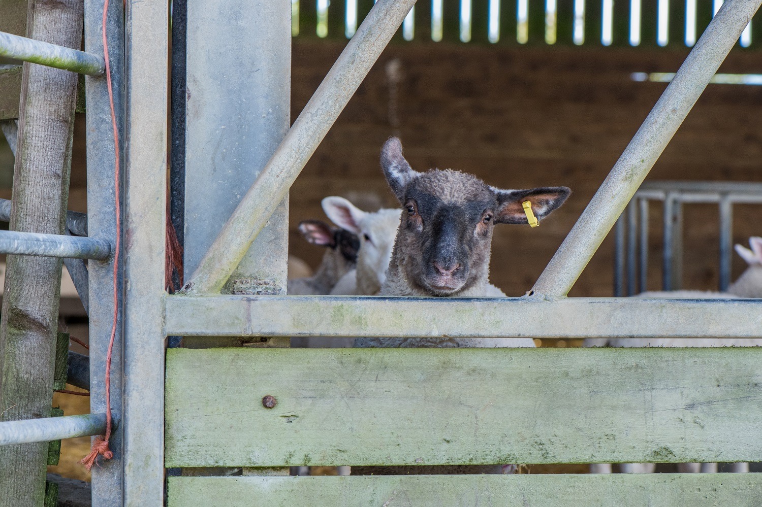 Funding & Engagement