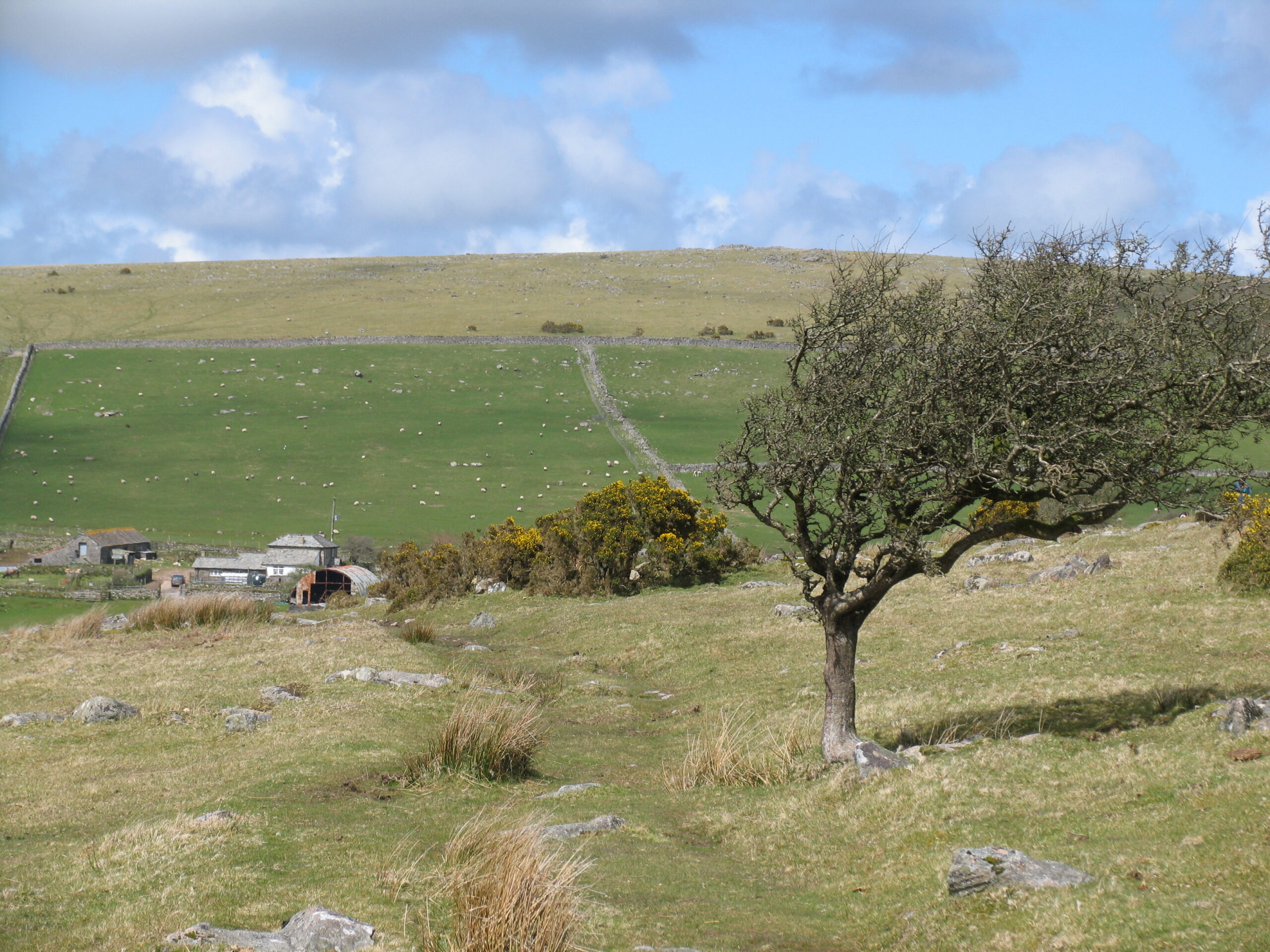 Mailing List: Bodmin Moor Hill Farming Project
