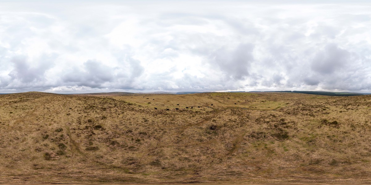 Fox Tor Stone Alignment – Cornwall National Landscape
