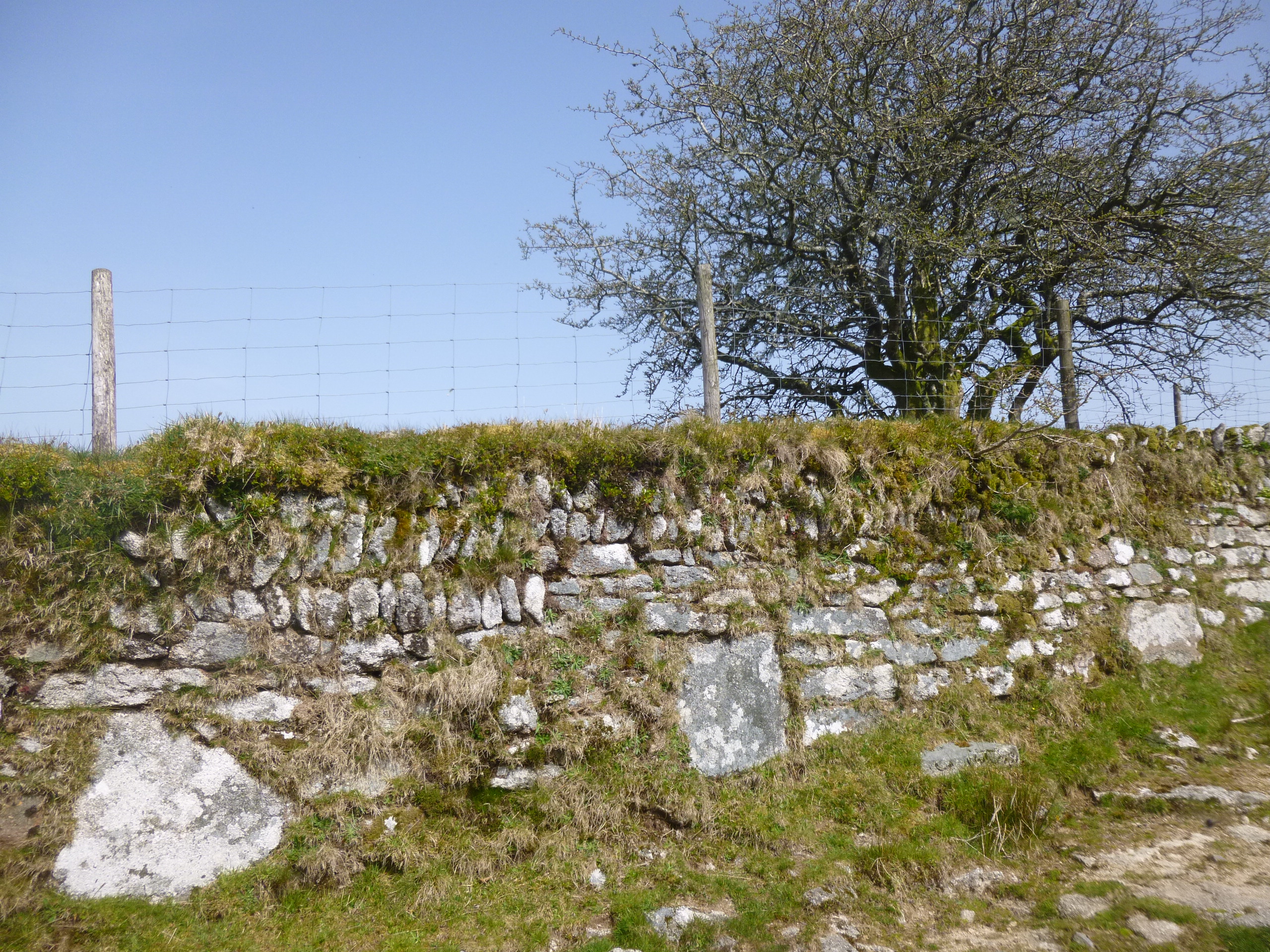 Roles of a Cornish Hedge