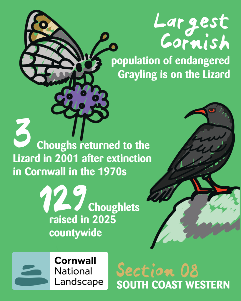 Colourful graphic showing key data on Section 08 of Cornwall National Landscape