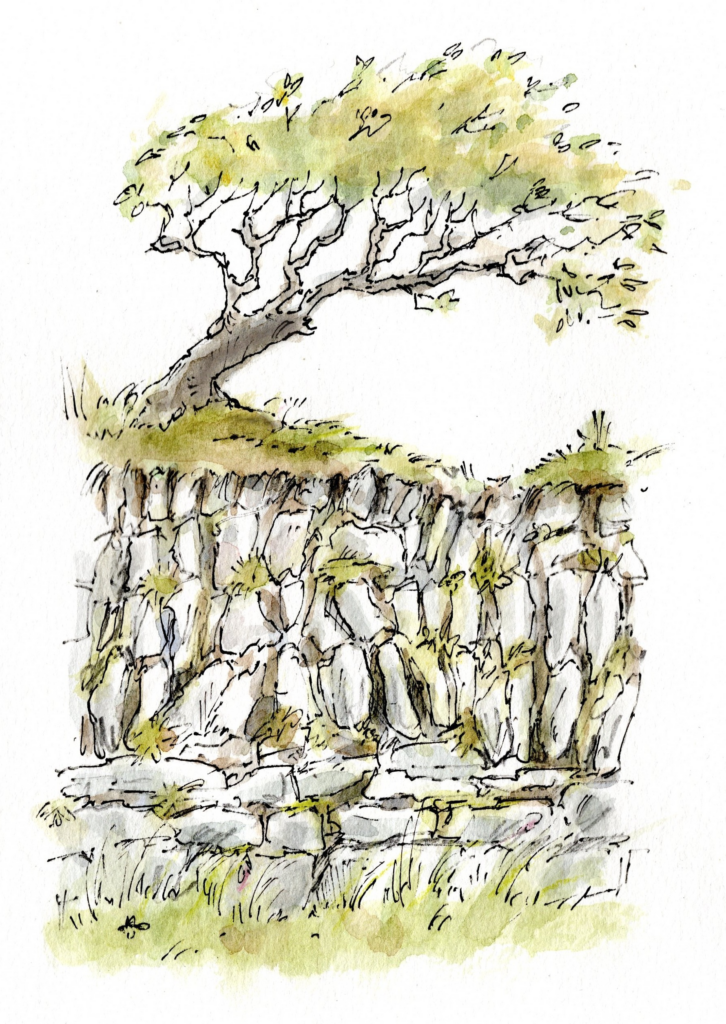 James Innerdale Bodmin Moor artist illustration