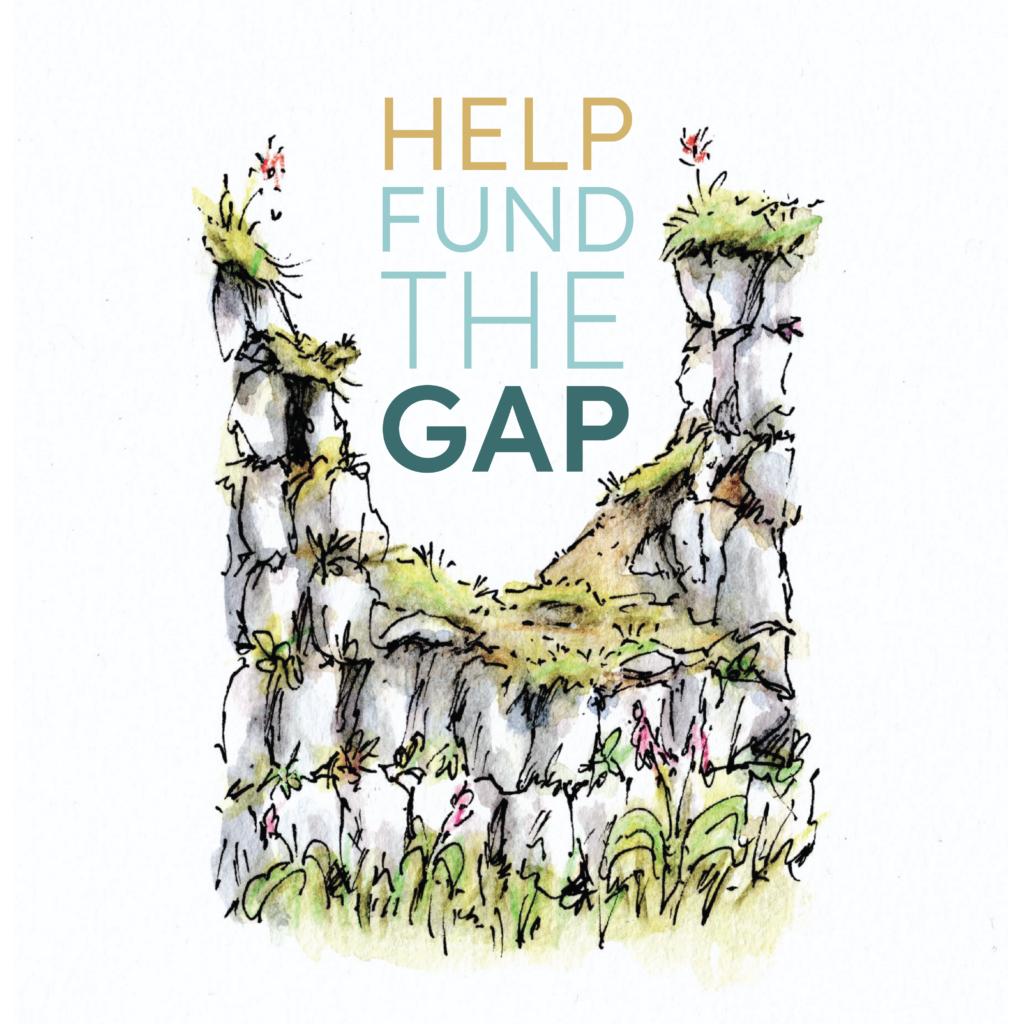 help fund the gap