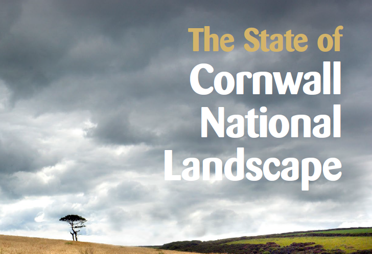 Cover page from the State of Cornwall National Landscape report 2026 - a stormy sky with a field tree in the bottom left corner